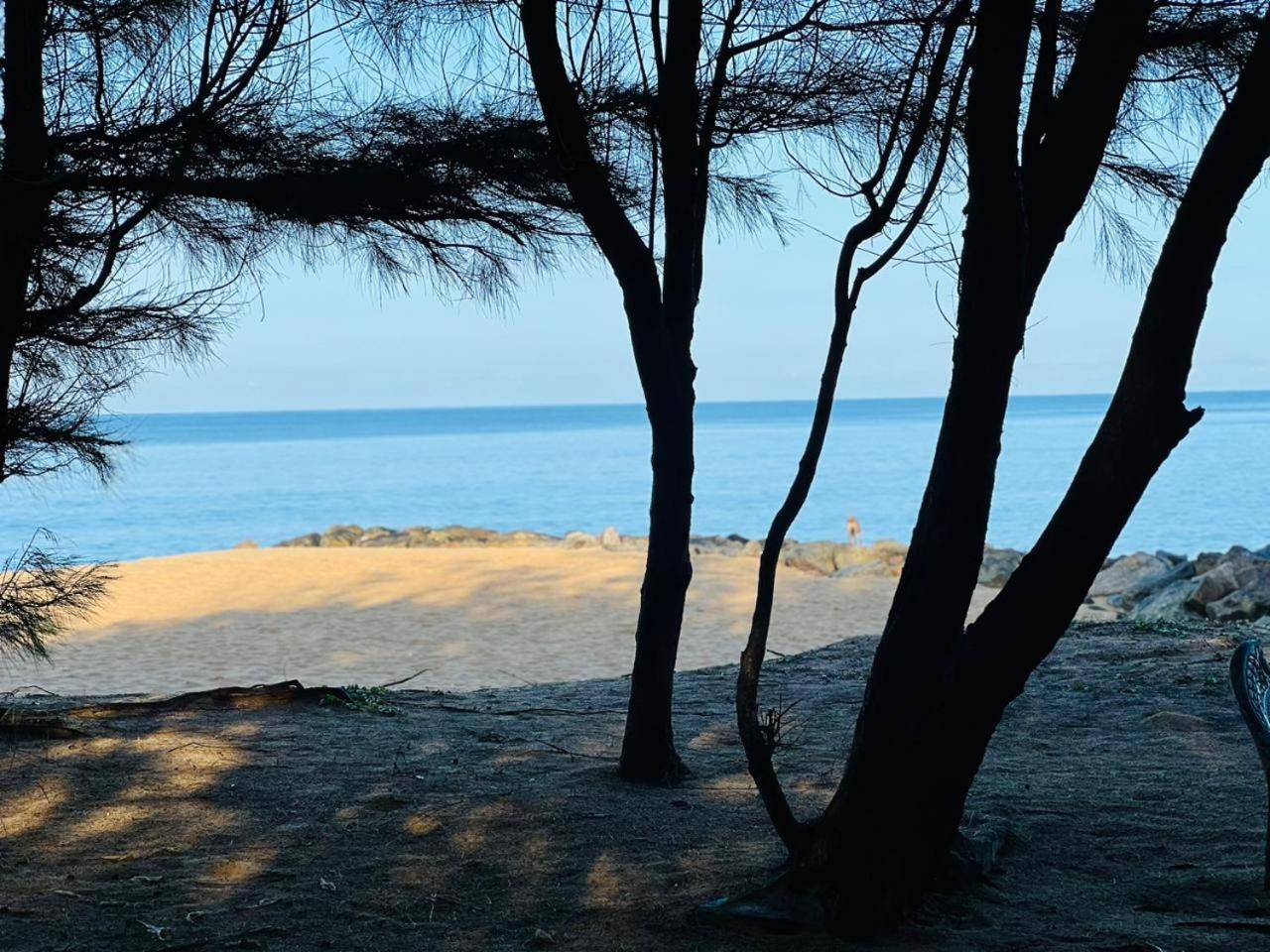 Omeesha Beach Hotel Kalpitiya Ngoại thất bức ảnh